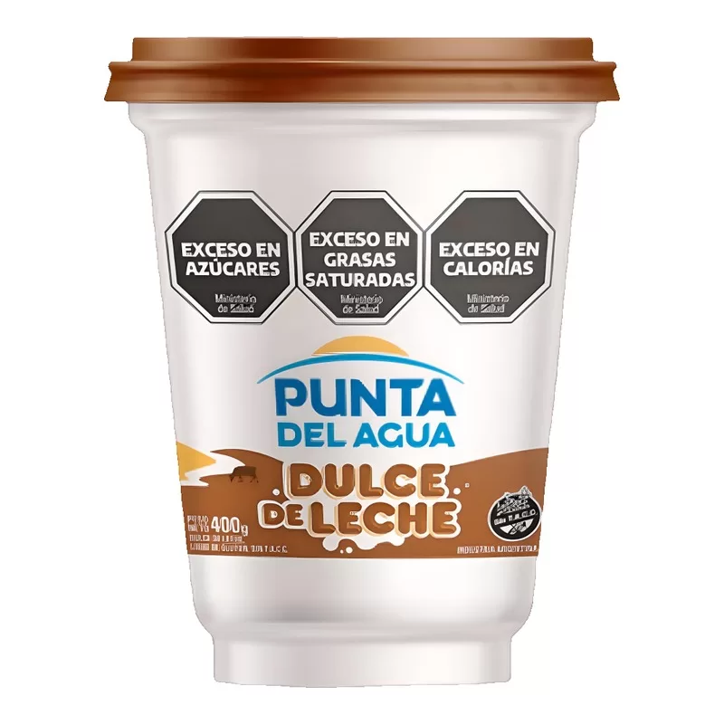 Dulce De Leche Punta De Agua X 400 Gr