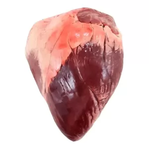 Corazon X 1 Kg