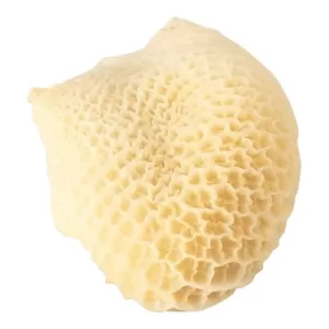 Mondongo X 1 Kg