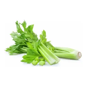 Apio Planta X 1 Kg