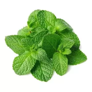 Hierbas Frescas Menta X 1 Unid